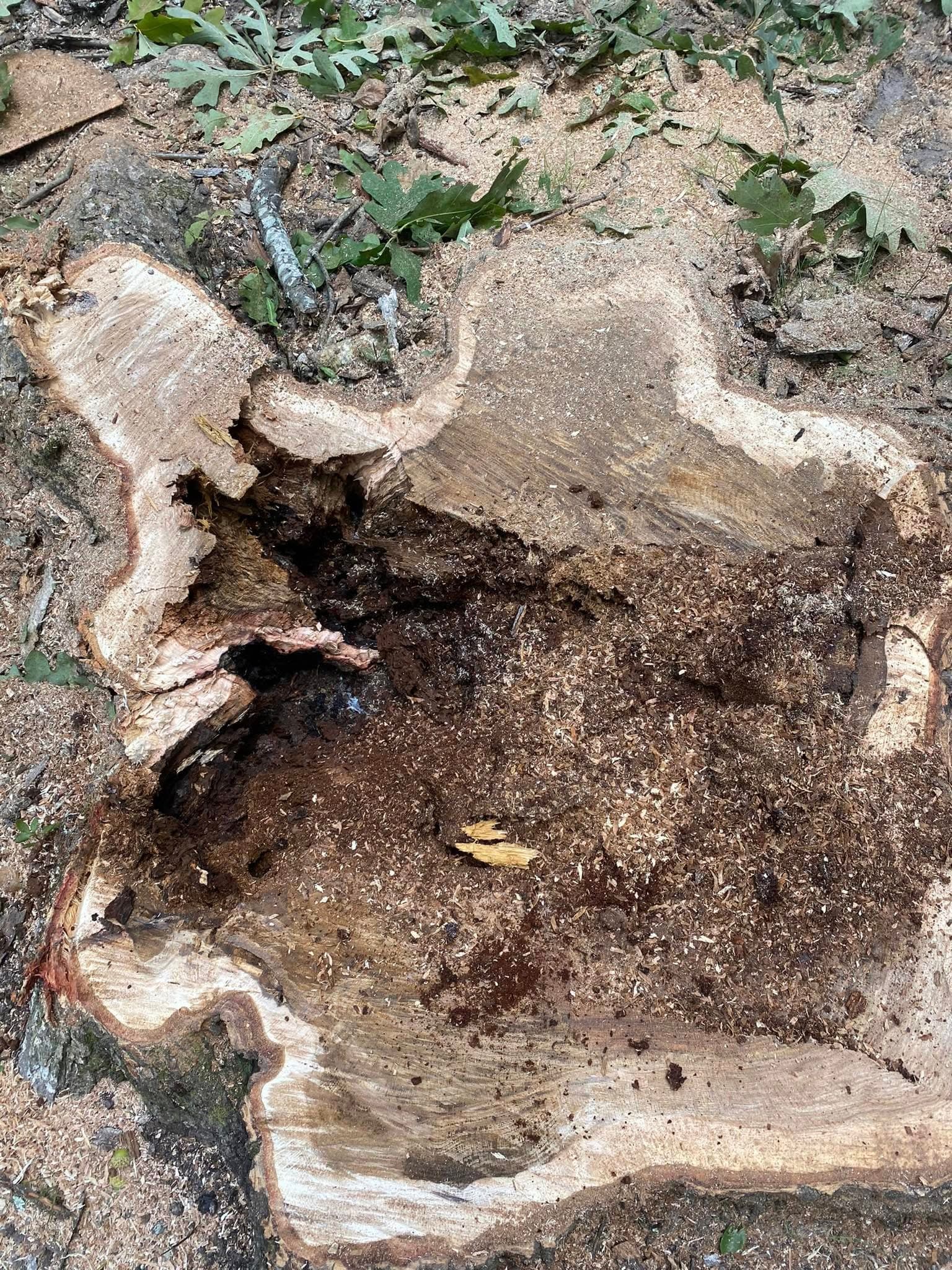 Stump Grinding